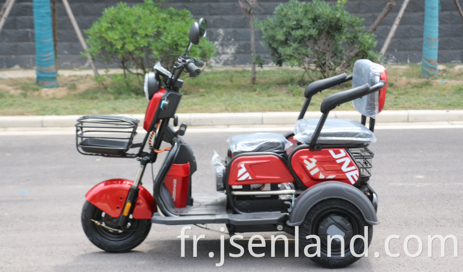 Adult Cargo Best Price Electric Tricycle